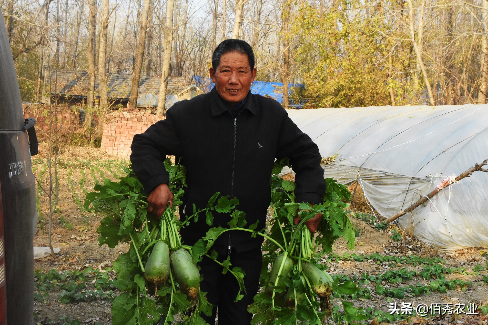 生活小窍门种植技巧_种植窍门技巧生活小妙招_种植窍门技巧生活小常识
