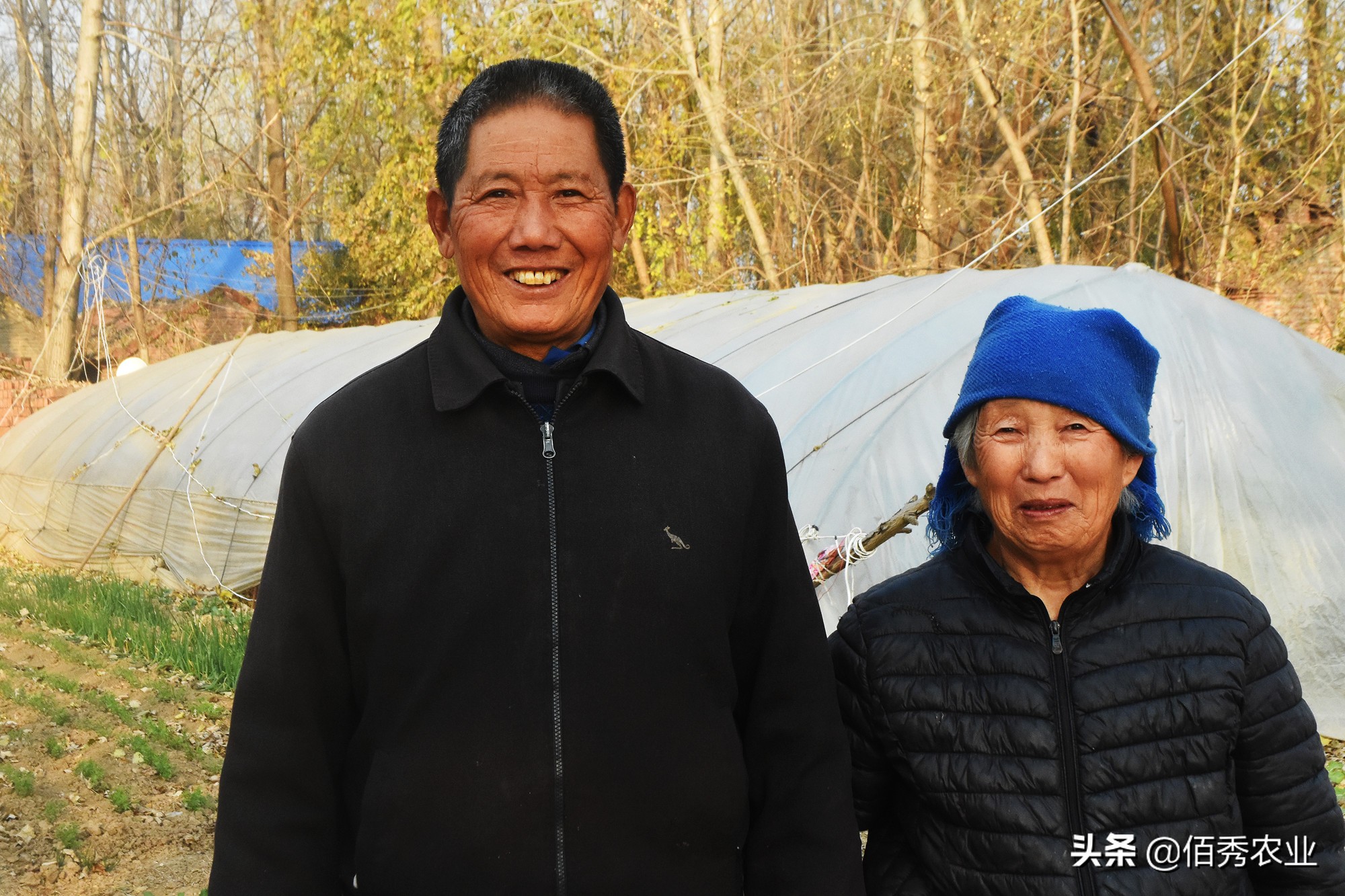 种植窍门技巧生活小妙招_种植窍门技巧生活小常识_生活小窍门种植技巧