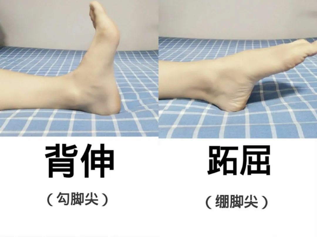 运动脚踝疼怎么办_脚踝痛还继续运动会怎么样_脚踝疼痛活动后缓解