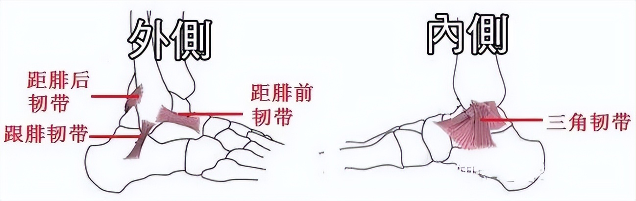 脚踝疼痛活动后缓解_脚踝痛还继续运动会怎么样_运动脚踝疼怎么办