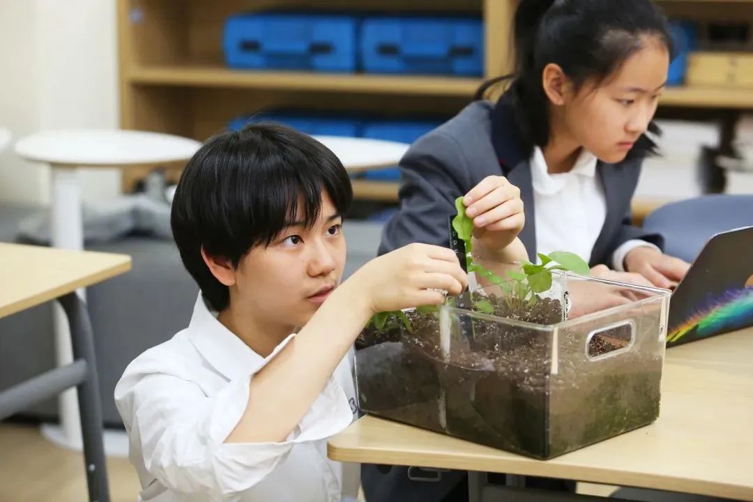 奥运击剑冠军将仲满比赛视频_匈牙利击剑冠军图片_海淀区名校杯击剑冠军赛