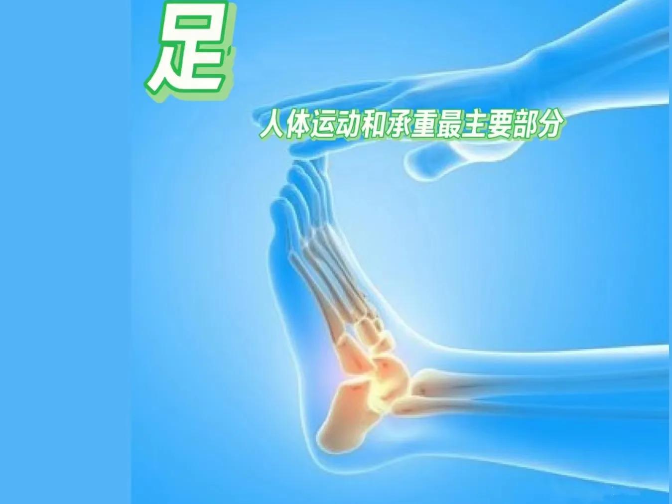 脚踝疼运动_脚踝痛还继续运动会怎么样_运动脚踝疼怎么办