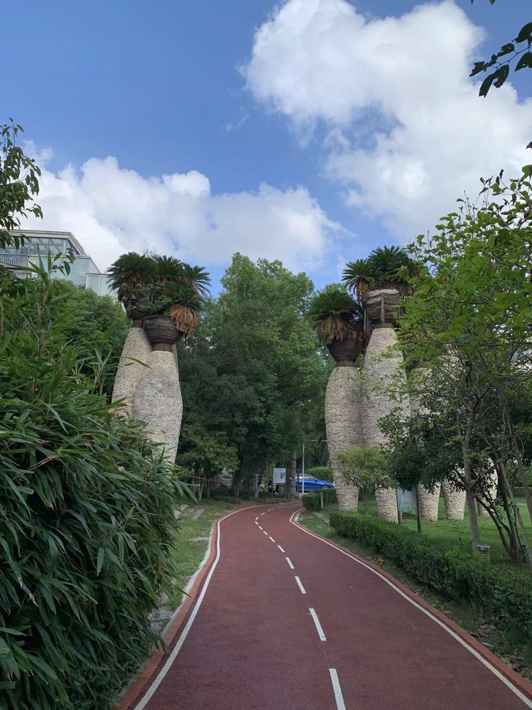 整洁的健身广场写一篇作文_整洁健身_整洁健身是什么意思