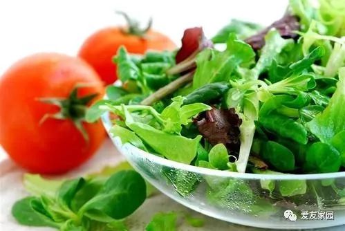 餐术骨营养后能喝酒吗_骨骼术后的营养品_骨术后营养餐